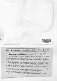 Image Associated With the Occurence